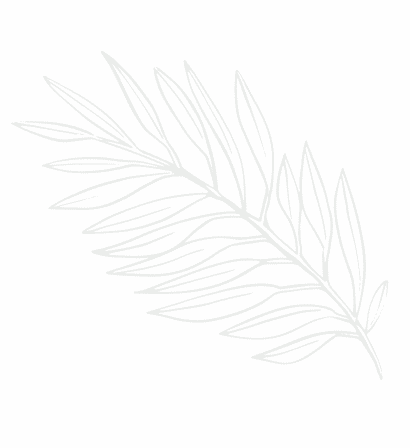 feuille chenes verts