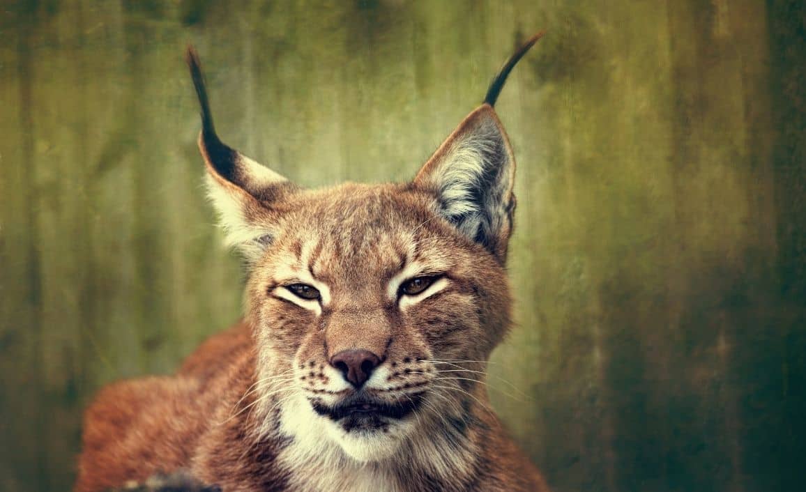 camping pres de pornic activités familiales