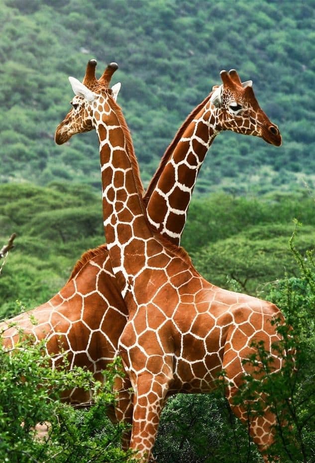 parce naturel loire atlantique